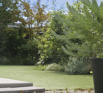 内と外をゆるやかにつなぐ、広い庭